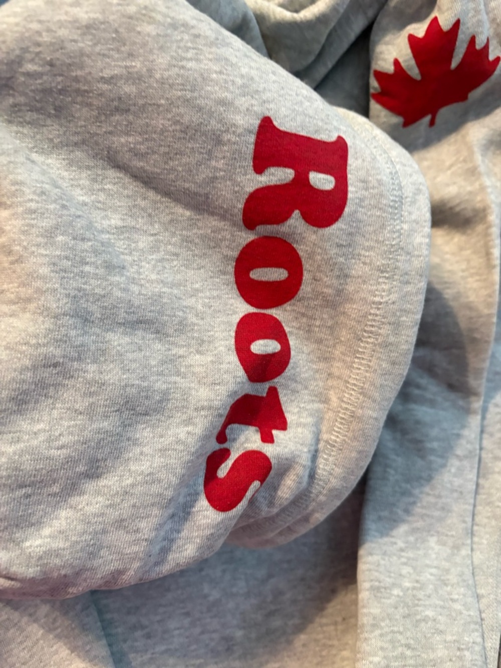 Roots Gray Canada Hoodie with Red Beaver & Rainbow Text - Picture 3 of 3